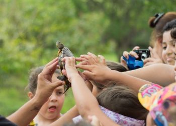 Confira a programação do Projeto Ecoférias 2024 em Pouso Alegre