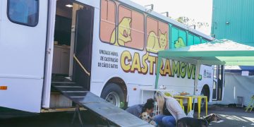 Prefeitura de Pouso Alegre retoma atendimentos do Castramóvel