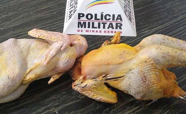 Frangos roubados em sítio, preparados para o almoço dá cadeia em Eloí Mendes