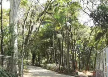 Mulher é estuprada em parque por um homem que foge nu após o ato