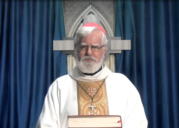 PALAVRA DE FÉ Nº 100 “”Discípulo Verdadeiro”