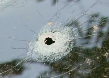 Candidatos de Senador José Bento foram localizados em São Paulo