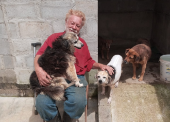 ONG Vivacão está completando 19 anos e conta com sua colaboração