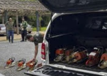 Governo de Minas entrega motosserras apreendidas para Instituto Estadual de Florestas