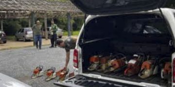 Governo de Minas entrega motosserras apreendidas para Instituto Estadual de Florestas