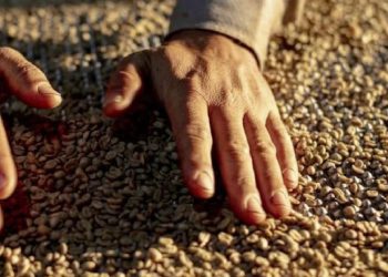 PIB de Minas Gerais cresce acima do Brasil e avança 1,2% no 3º trimestre