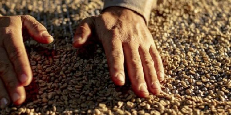 PIB de Minas Gerais cresce acima do Brasil e avança 1,2% no 3º trimestre