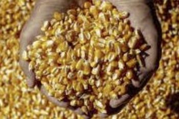 Minas Gerais se destaca com US$ 38,6 bilhões em exportações até novembro