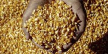 Minas Gerais se destaca com US$ 38,6 bilhões em exportações até novembro