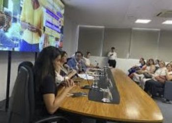 Governo de Minas anuncia programa inédito na Educação, com foco na inovação e excelência