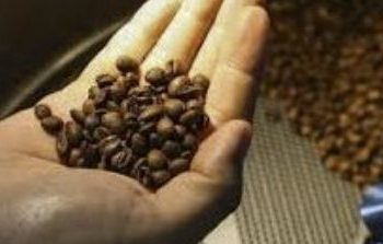 Governo de Minas lança estudo sobre os impactos do acordo entre o Mercosul e União Europeia para Minas Gerais