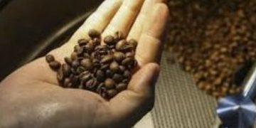 Governo de Minas lança estudo sobre os impactos do acordo entre o Mercosul e União Europeia para Minas Gerais