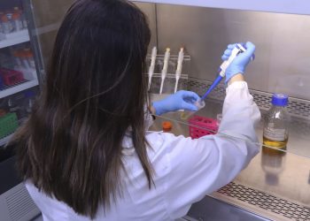 Governo de Minas lança série de reportagens sobre mulheres na ciência