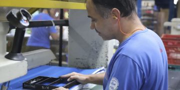 Liberdade Econômica: Governo de Minas confirma marca alcançada de 500 municípios Livres para Crescer