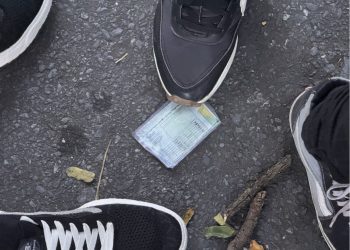 Perdeu documentos durante o Carnaval? Saiba como solicitar a segunda via nos canais oficiais do Governo de Minas