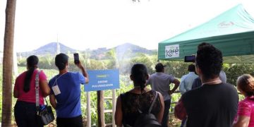  Celeiro das pautas sustentáveis na Femagri 2025, apresenta boas práticas agrícolas aos cafeicultores