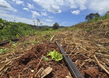 Projeto que cuida da saúde do solo vai abranger 1,8 mil propriedades rurais de Minas Gerais