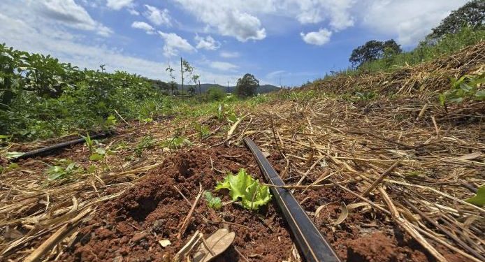Projeto que cuida da saúde do solo vai abranger 1,8 mil propriedades rurais de Minas Gerais
