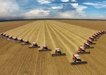 Panorama do Comércio Exterior do Agronegócio de Minas tem foco na performance de 2024