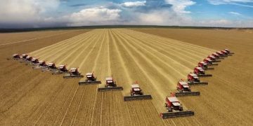 Panorama do Comércio Exterior do Agronegócio de Minas tem foco na performance de 2024