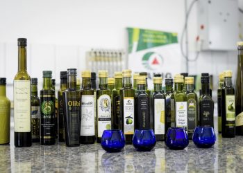 Sexta Festa do Azeite Novo será na próxima semana em Maria da Fé