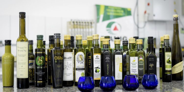 Sexta Festa do Azeite Novo será na próxima semana em Maria da Fé