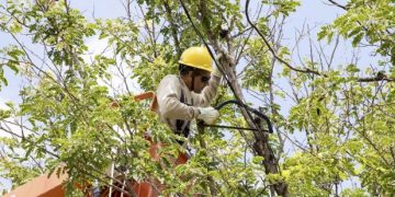 Cemig finaliza período chuvoso com redução no número e no tempo de ocorrências