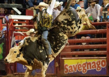 Pedido de vistas a projetos que reconhecem rodeios como parte da cultura local