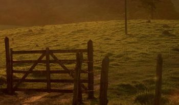 Governo do Estado e Instituto Federal do Sul de Minas abrem inscrições para cursos gratuitos na área do turismo