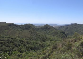 Minas Gerais reduz em 25% o desmatamento na Mata Atlântica