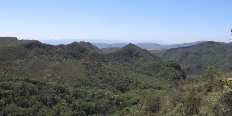Minas Gerais reduz em 25% o desmatamento na Mata Atlântica