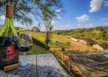 Minas Gerais estreia na Wine Trade Fair apresentando vinhos