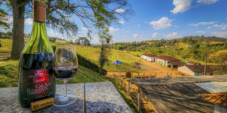 Minas Gerais estreia na Wine Trade Fair apresentando vinhos