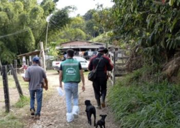 Instituto Mineiro de Agropecuária conclui inspeção sanitária na região de Mateus Leme