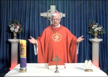 SANTA MISSA EM SEU LAR – Nº 231 – “Eu vos dou a minha paz!”