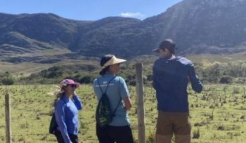 Tecnologia e apoio ao produtor fazem Minas Gerais saltar de 281 para 28 mil imóveis