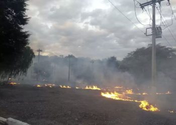 Cemig registra quase 2 mil alertas de incêndio próximos à rede elétrica