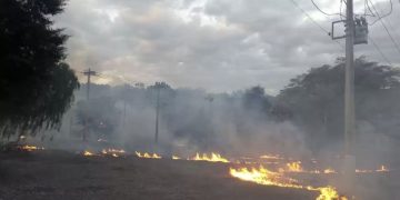 Cemig registra quase 2 mil alertas de incêndio próximos à rede elétrica