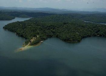 Minas avança no reflorestamento da meta de restauração da Mata Atlântica