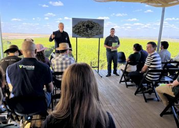 BDMG abre inscrições para capacitação gratuita em agricultura