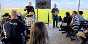 BDMG abre inscrições para capacitação gratuita em agricultura