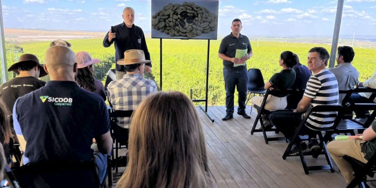 BDMG abre inscrições para capacitação gratuita em agricultura