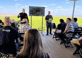 Capacitação gratuita do BDMG em agricultura regenerativa tem início com 840 inscritos