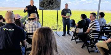 Capacitação gratuita do BDMG em agricultura regenerativa tem início com 840 inscritos