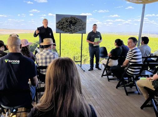 Capacitação gratuita do BDMG em agricultura regenerativa tem início com 840 inscritos