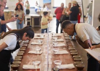 Bom Sucesso realiza 4º Concurso de Cafés Especiais com mais de 60 produtores