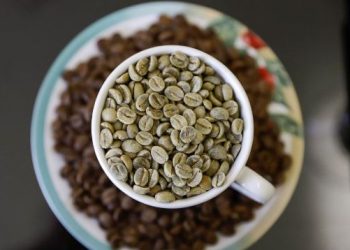 Impulsionadas pelo café, exportações do agro em Minas lideram ranking nacional