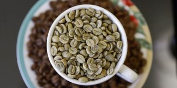 Impulsionadas pelo café, exportações do agro em Minas lideram ranking nacional