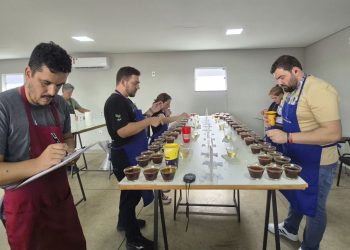 Emater divulga classificados para a segunda etapa do Concurso de Qualidade dos Cafés