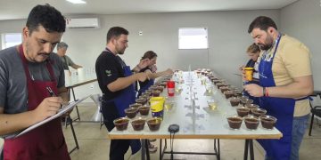 Emater divulga classificados para a segunda etapa do Concurso de Qualidade dos Cafés